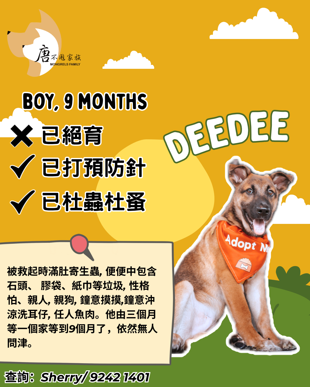Deedee